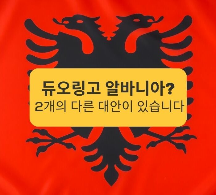 듀오링고 알바니아?