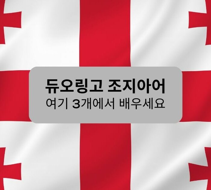 듀오링고 조지아어 Ling App