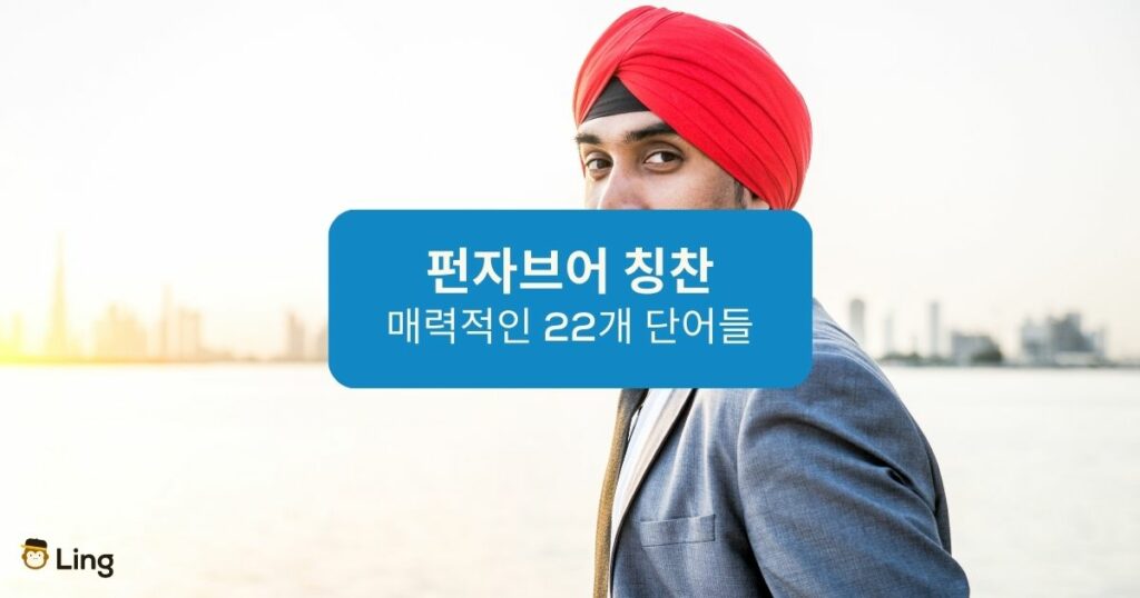 펀자브어 칭찬 Ling App