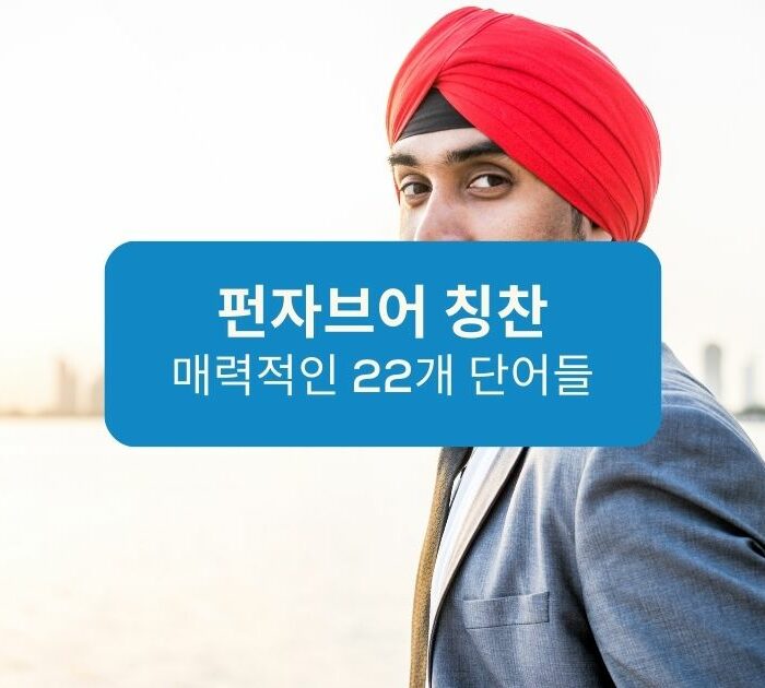 펀자브어 칭찬 Ling App
