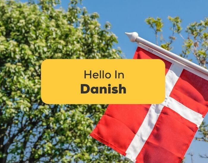 #1 Best Guide Saying Hello In Danish Like A Pro