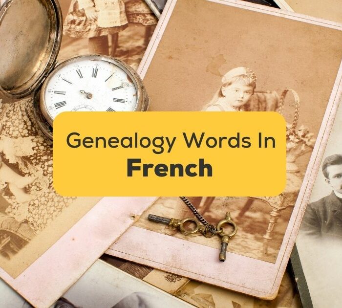 8 Easy French Genealogy Words For Beginners