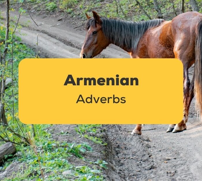 Armenian Adverbs_ling app_learn Armenian_Horse