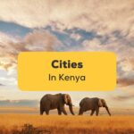 cities in kenya-Ling-App
