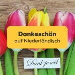 Dankeschön auf niederländisch "Dank je wel"