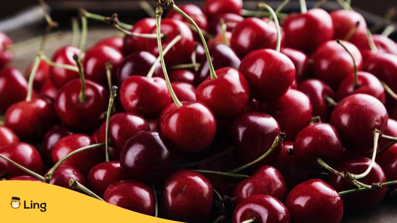 Das dunkelrot der überreifen Kirschen wird boja trule višnje genannt, einer einzigartigen Farbe auf Bosnisch