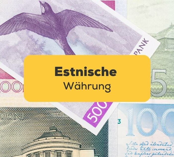 Lerne mit der Ling-App alles über die Estnische Währung und ihre GeschichteLerne mit der Ling-App alles über die Estnische Währung und ihre Geschichte