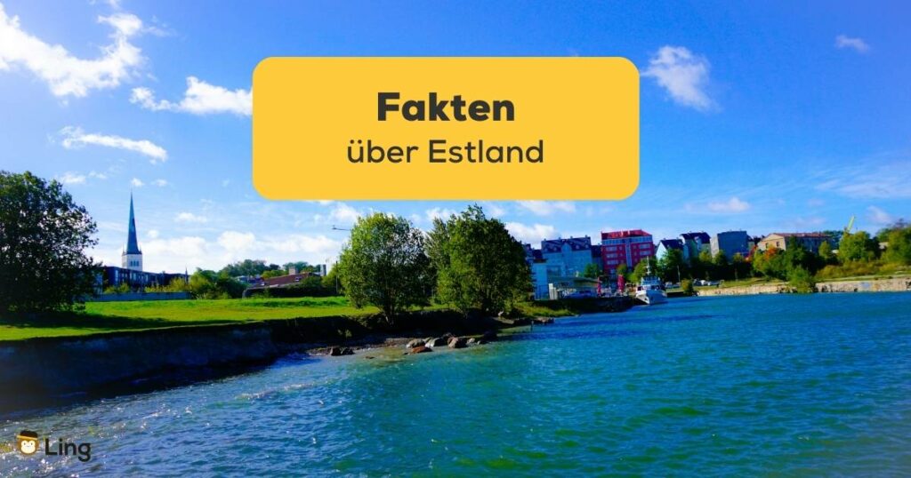 Erfahre alle wichtigen Fakten über Estland mit der Ling-App
