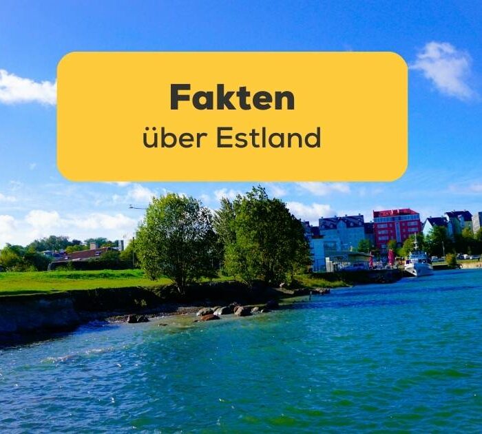 Erfahre alle wichtigen Fakten über Estland mit der Ling-App