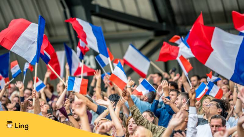 Französische Pronomen lernen mit Ling