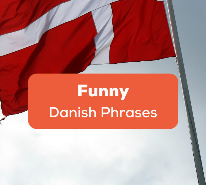 Funny Danish Phrases