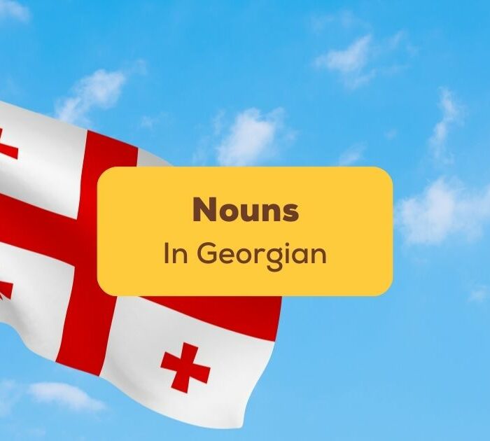 Georgian Nouns Ling App