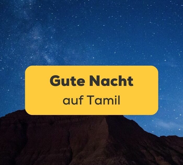 Titelbild: Gute Nacht auf Tamil