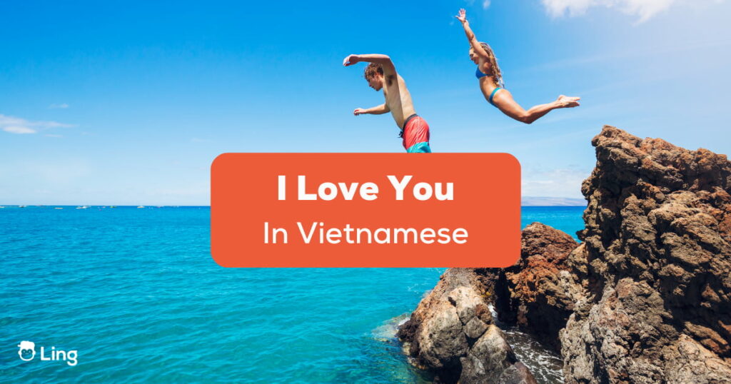 I Love You In Vietnamese
