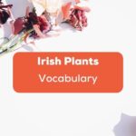 Plants in irish