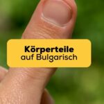 Körperteile auf Bulgarisch mit Ling lernen