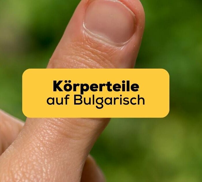 Körperteile auf Bulgarisch mit Ling lernen
