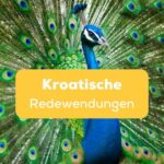 Pfau mit aufgestellten Federn Kroatische Redewendungen