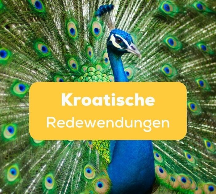 Pfau mit aufgestellten Federn Kroatische Redewendungen