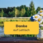 Lerne danke auf Lettisch zu sagen mit der Ling-App