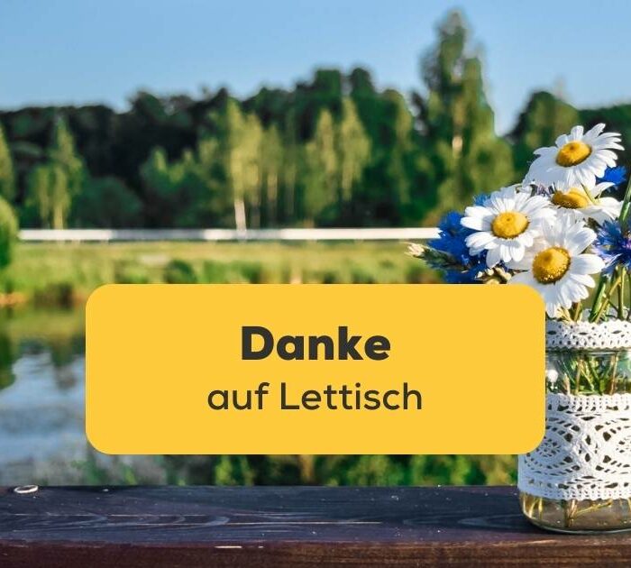 Lerne danke auf Lettisch zu sagen mit der Ling-App