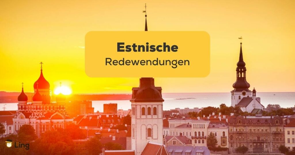 Eine Stadt in Estland, in der du estnische Redewendungen benutzen kannst, die du mit der Ling-App gelernt hast