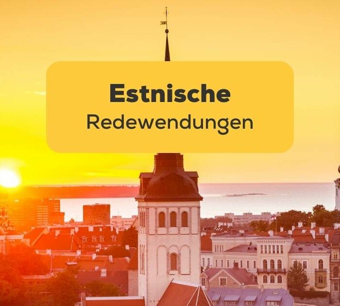 Eine Stadt in Estland, in der du estnische Redewendungen benutzen kannst, die du mit der Ling-App gelernt hast