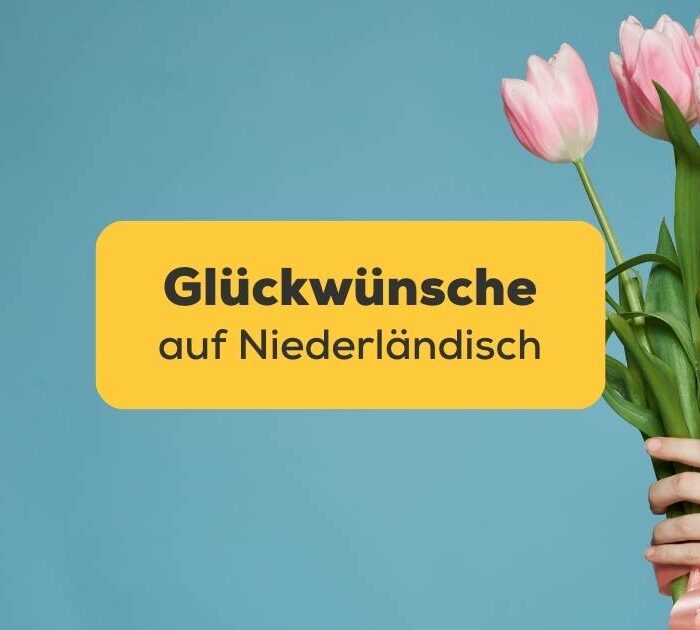 Lerne mit der Ling-App die wichtigsten Glückwünsche auf Niederländisch