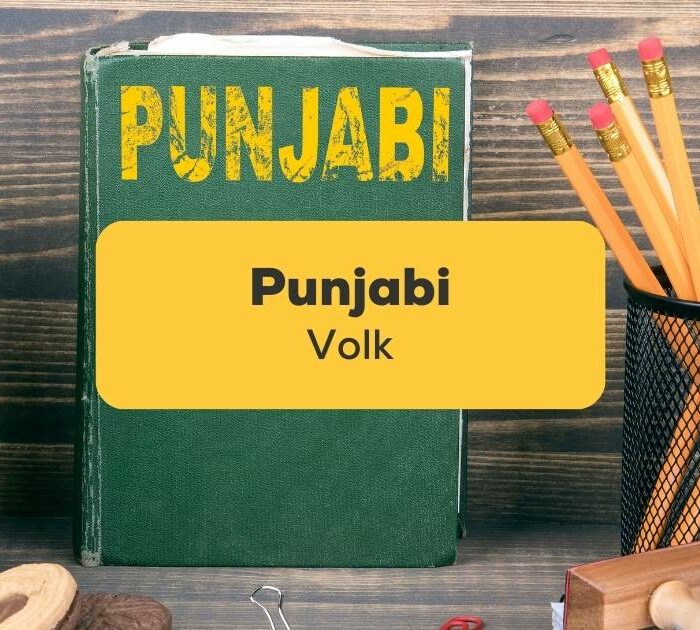 Buch über das Punjabi Volk