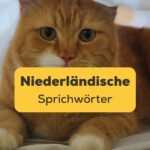Ling App Niederländische Sprichwörter Katze im Sack