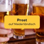 Prost auf Niederländisch mit der Ling-App drei Niederländische Biergläser werden angestoßen