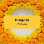 Punjabi Zahlen mit der Ling-App erlernen
