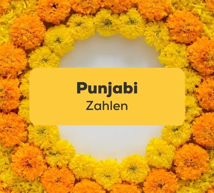 Punjabi Zahlen mit der Ling-App erlernen
