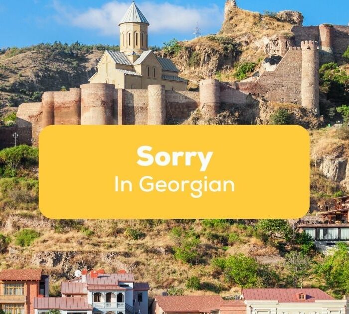 Sorry In Georgian- Featured Ling App