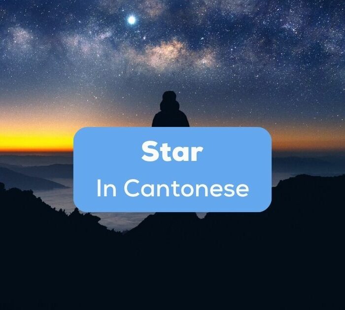 Star in Cantonese - A photo of a man staring at a star in the night sky