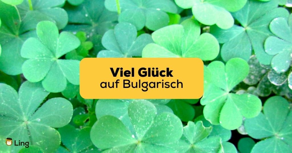 Viel Glück auf Bulgarisch mit Ling wünschen