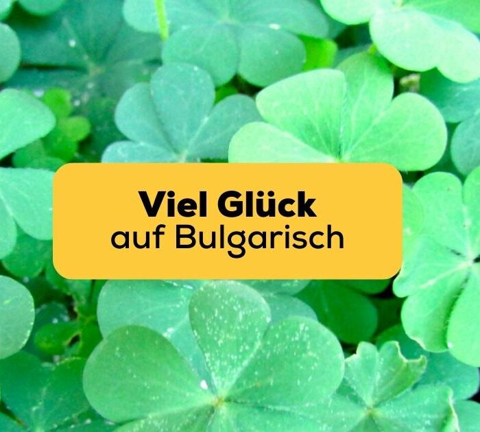 Viel Glück auf Bulgarisch mit Ling wünschen