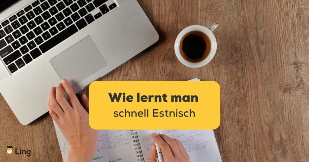 Entdecke wie lernt man schnell Estnisch mit der Ling-App