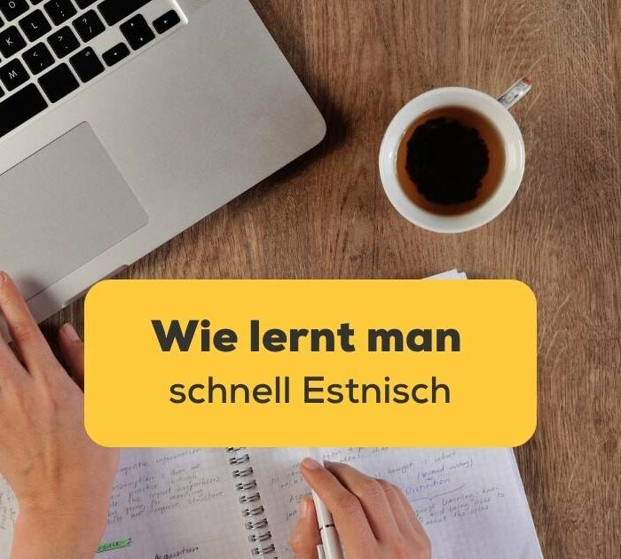 Entdecke wie lernt man schnell Estnisch mit der Ling-App